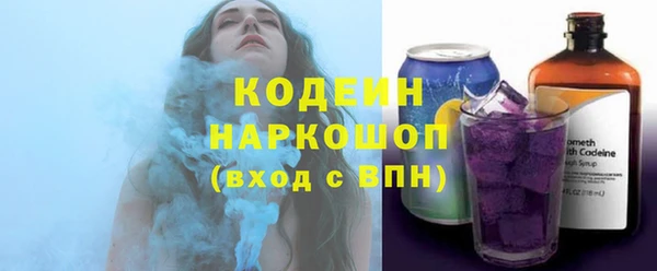 соль ск Переславль-Залесский