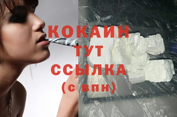 соль ск Переславль-Залесский